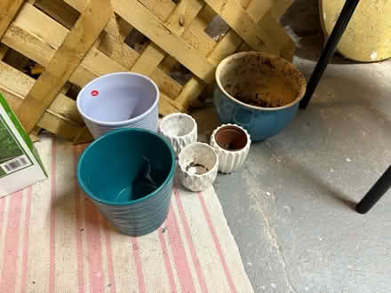 Photo of free Trellises, pots and crocuses (Roxbury) #2