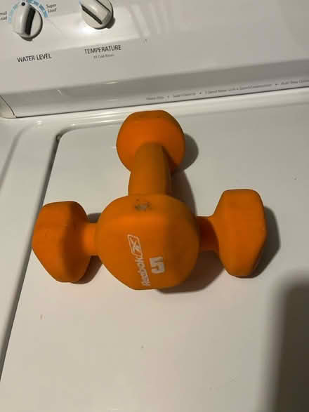 Photo of free 2 5lb hand weights (Somerville, Spring Hill) #1