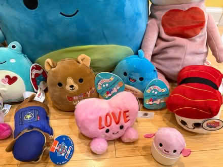 Photo of free Stuffed Plushies (Fair Lawn, NJ) #3