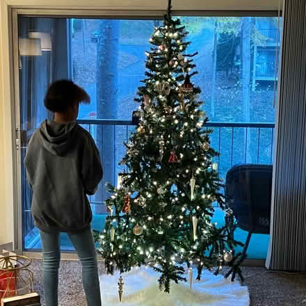 Photo of free Tree & Decoration 🎄 (Roswell/Sandy Springs) #1