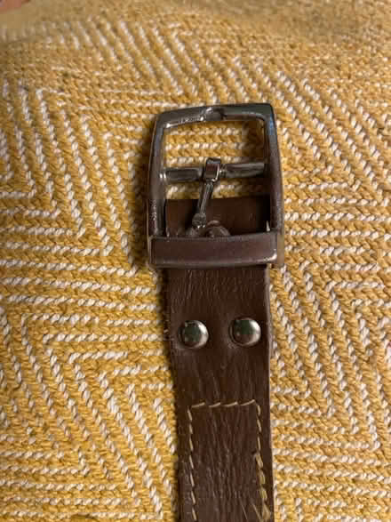 Photo of free Greyhound Style Dog Collar (Bradford Leigh BA15) #2