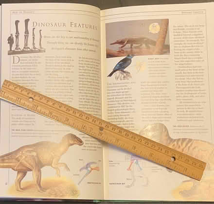 Photo of free Dinosaur book (Nr Fresh Pond & Mt Auburn Cem.) #2