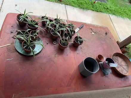 Photo of free Garden Table (Mountain View) #1