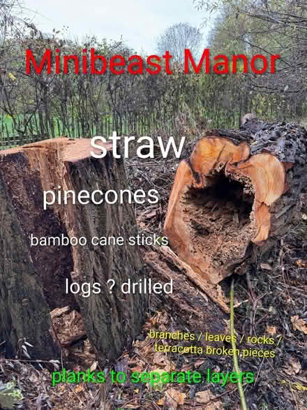 Photo of Bits for bug hotel (Willingham) #1