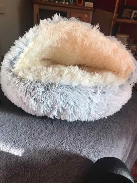 Photo of free Cat bed (Knighton LD7) #1