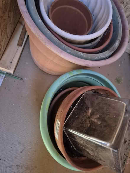Photo of free Plant pots (20817) #2