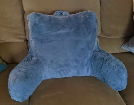 Photo of free Bed rest pillow (NE Glenview (Lake & Harms)) #1
