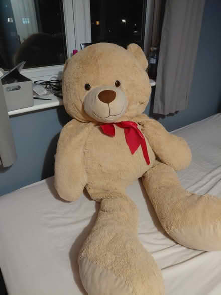 Photo of free Single mattress and giant teddy (Leighton buzzard) #1