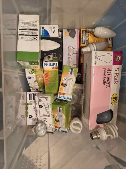 Photo of free Various light bulbs (Common Edge FY4) #1