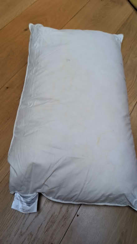 Photo of free John Lewis down pillow x2 (Hatton Wall, EC1N) #1