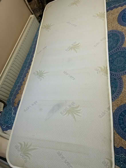 Photo of free Foldable 3/4 single bed (Colehill near Wimborne) #1