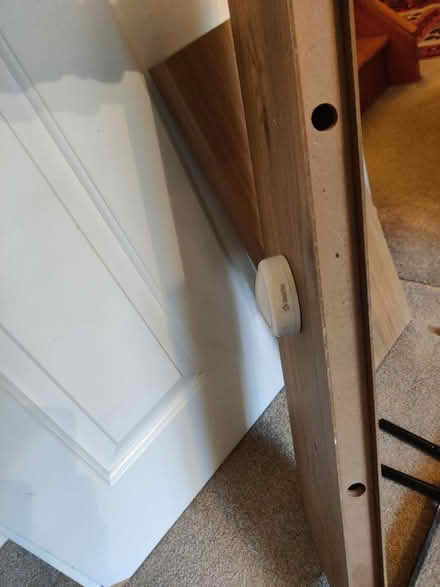 Photo of free Wall mount shelves (EH16, Prestonfield) #3