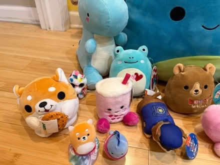 Photo of free Stuffed Plushies (Fair Lawn, NJ) #2
