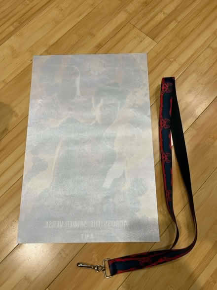 Photo of free Spider-Man poster and Lanier (Fair Lawn, NJ) #3
