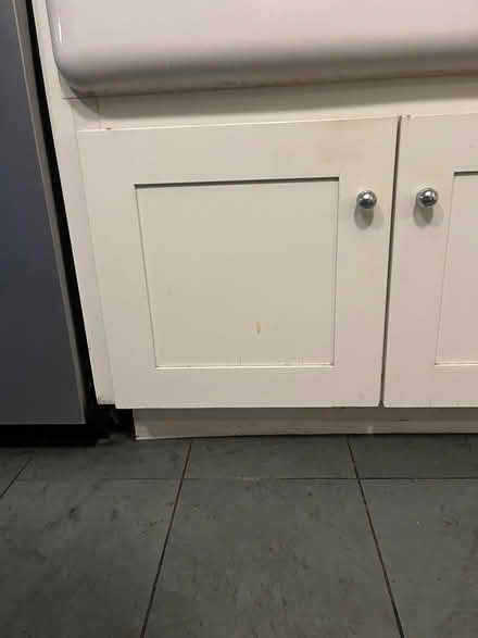 Photo of free New Unused Cabinet Doors (Edgewater) #2