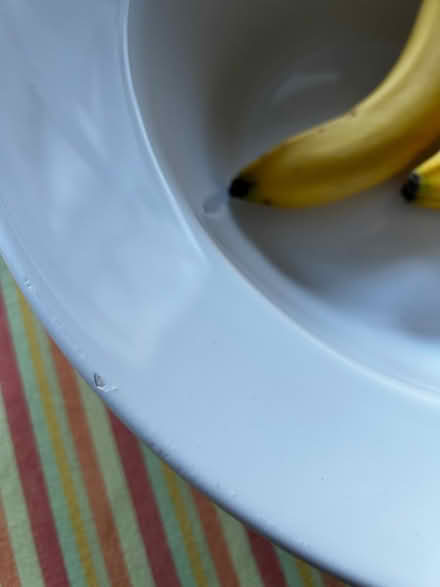 Photo of free Large white ceramic bowl (Old Town HP2) #3