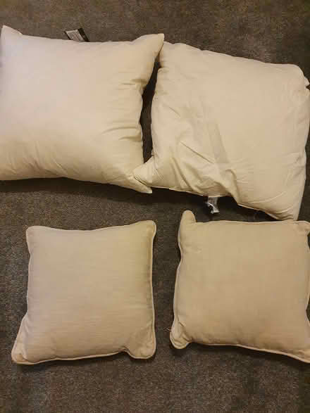 Photo of free Cushions (Bournville B30) #1