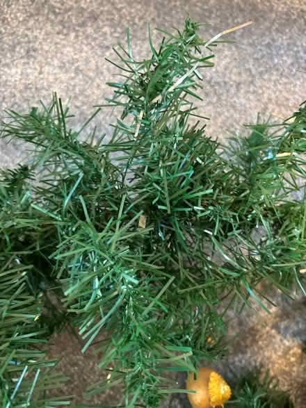 Photo of free Festive garland (UpperHale GU9) #2