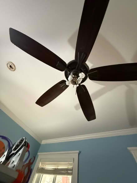 Photo of free Fan & light fixture (Livonia) #1