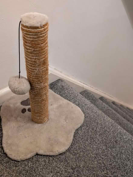 Photo of free Cat scratch post (Stonehouse) #1
