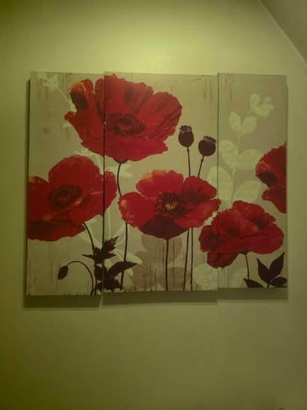 Photo of free Canvas picture (South Dykes CA11) #1