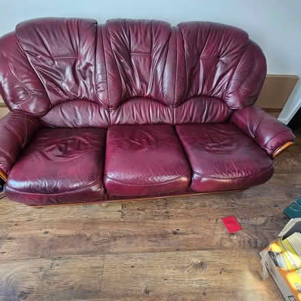 Photo of free to anyone who wants them (Blaby, Leicester) #1