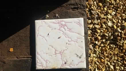 Photo of free retro bathroom tiles (Headington OX3) #1