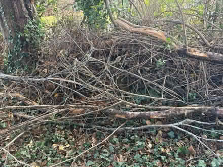 Photo of free wood kindling in nn3 area (NOrthampton) #2
