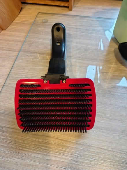 Photo of free Dog Grooming Items (Merseyside) #4