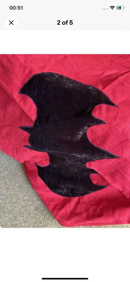 Photo of free Huge Batman Curtains (Silverdale) #2