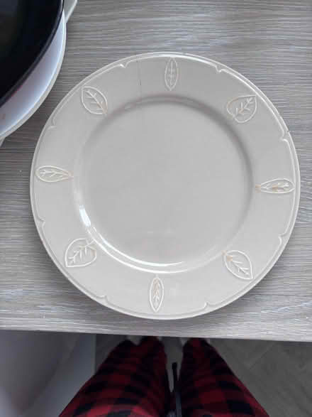 Photo of free Collection of Plates (Micklefield HP13) #3