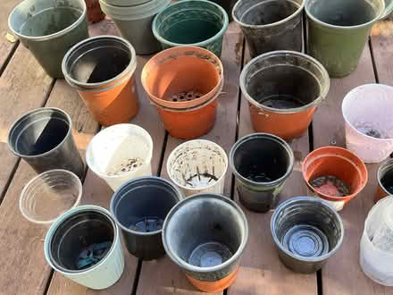 Photo of free Pots for Plants (Wolfe & Reed) #2