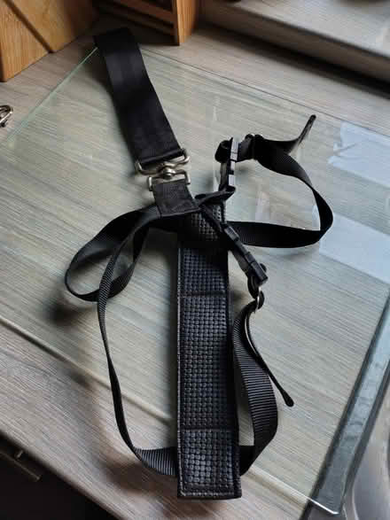 Photo of free Dog Travel Harness (Merseyside) #1