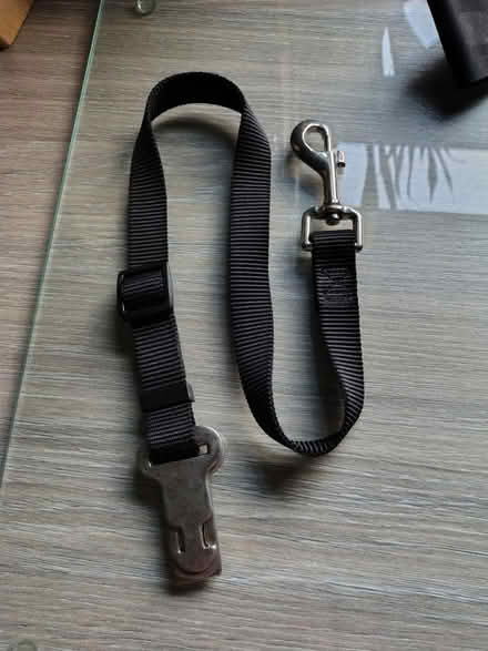 Photo of free Dog Travel Harness (Merseyside) #2