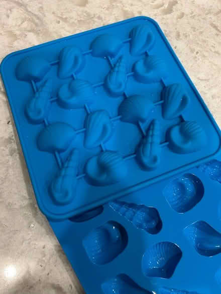 Photo of free Ice/chocolate molds (North Oakville) #2