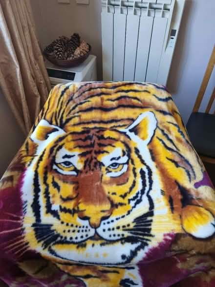 Photo of free Extra large tiger blanket (SE20) #2