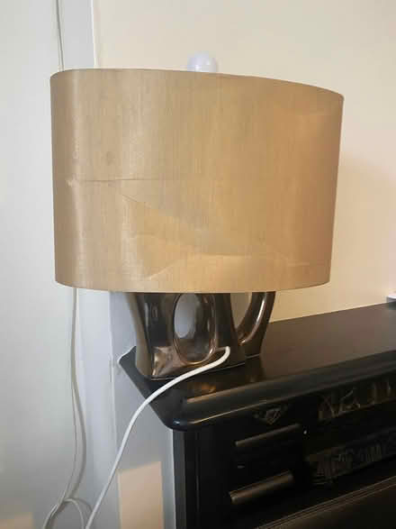 Photo of free Lamp (SE20) #1