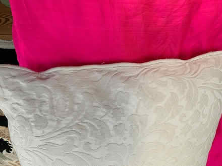Photo of free two large feather filled cushions (Blagdon BS40) #2