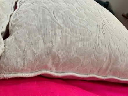 Photo of free two large feather filled cushions (Blagdon BS40) #3