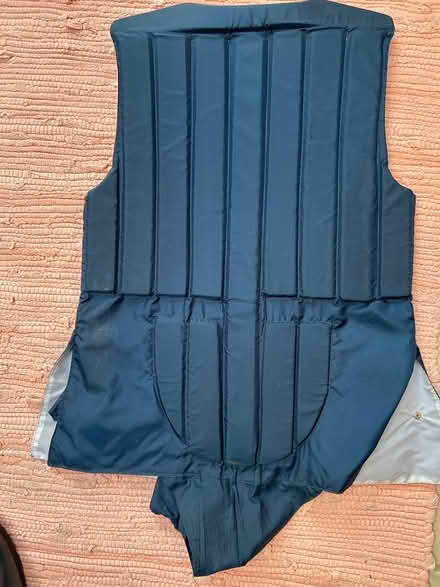 Photo of free flexible back-protector (Dublin 4) #2