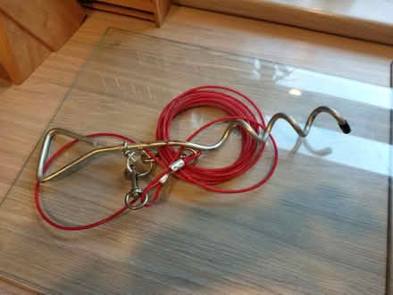 Photo of free Dog Tether (Merseyside) #1