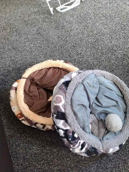 Photo of free cat tunnels (Kendal) #1