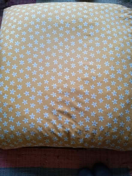 Photo of free BEANBAG FILLING & FOAM for DIY (Psalter Lane S11) #1