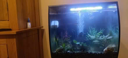 Photo of free Fish tank complete (Woodside TF7) #1