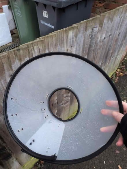 Photo of free Dog cone/collar (Honor oak) #2