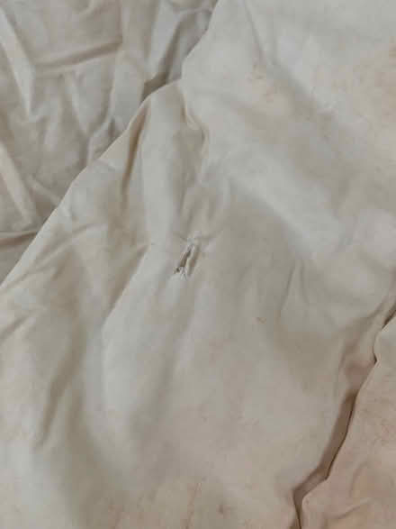 Photo of free single duvet, dog bed? toy stuffing (Blagdon BS40) #1