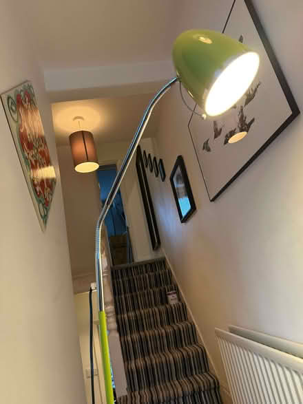 Photo of free Green floor lamp, working (Earlswood RH1) #3