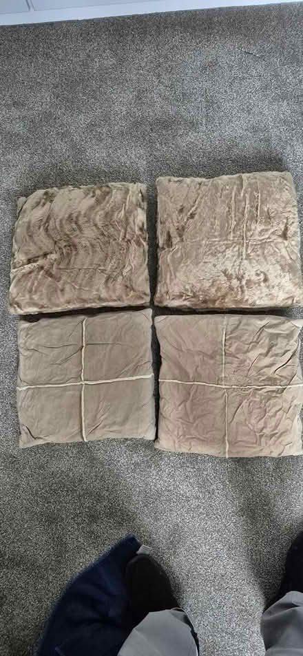Photo of free Cushions (Clanfield) #2