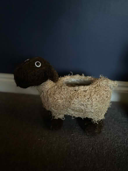 Photo of free Plant pot (Funtley PO17) #1