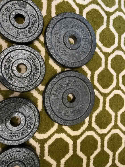 Photo of free Weights (Musbury EX13) #2